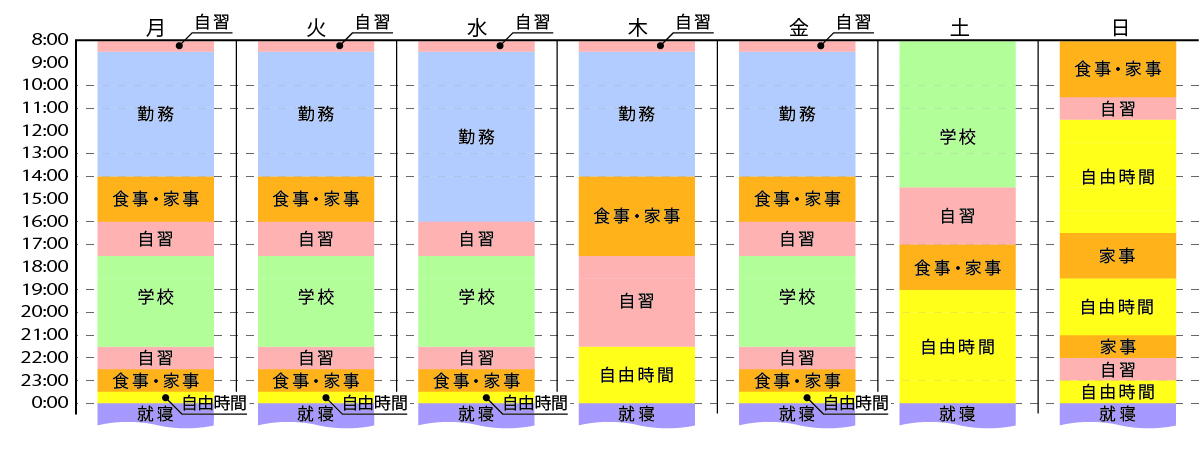 スケジュール